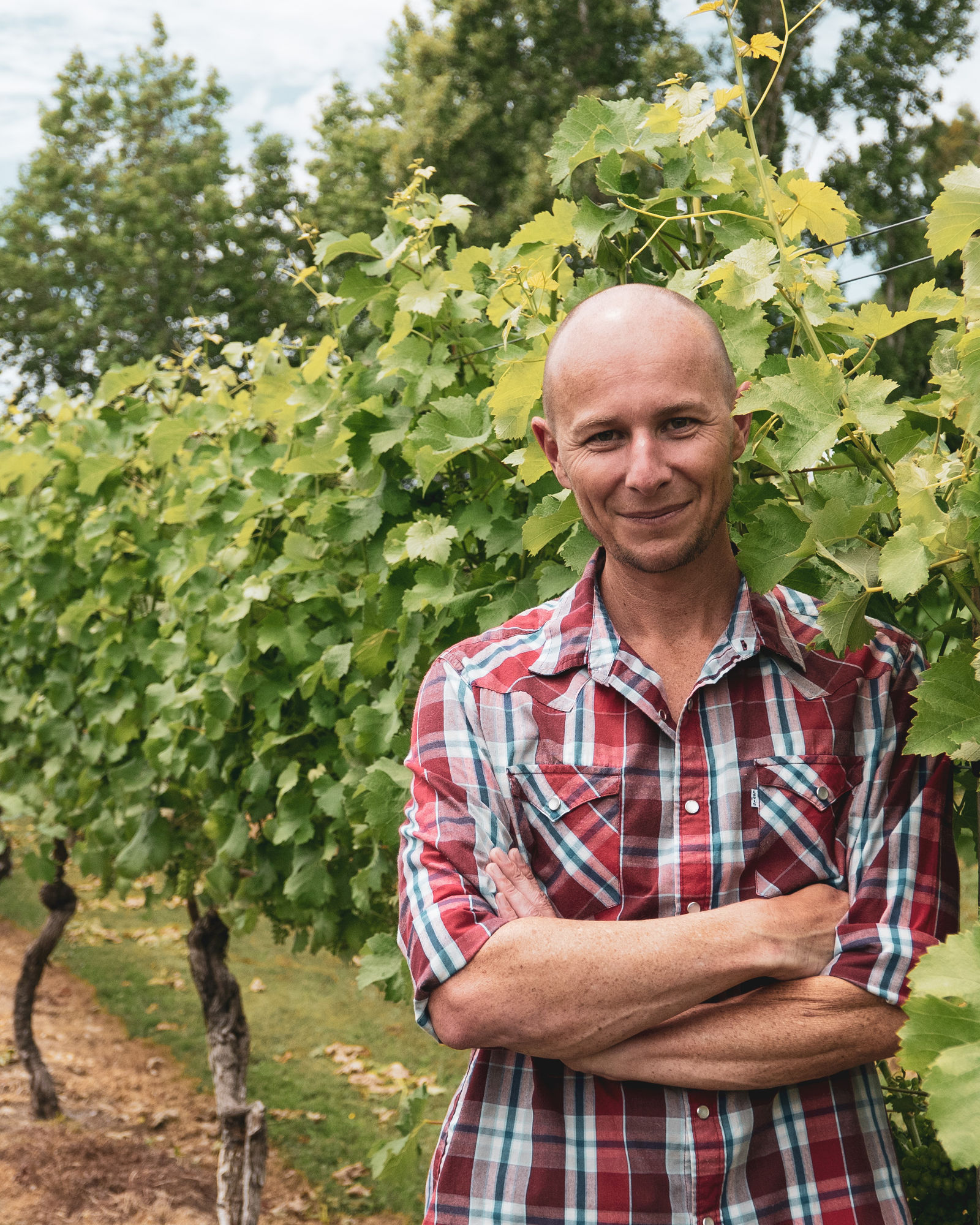 Pete Turner standing in a vineyard