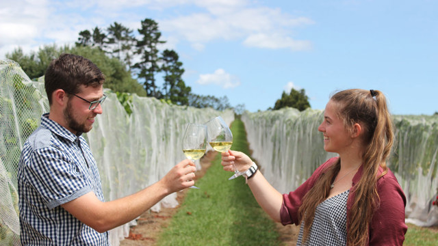 Tyler and Amber Soljian toasting glasses of white wine
