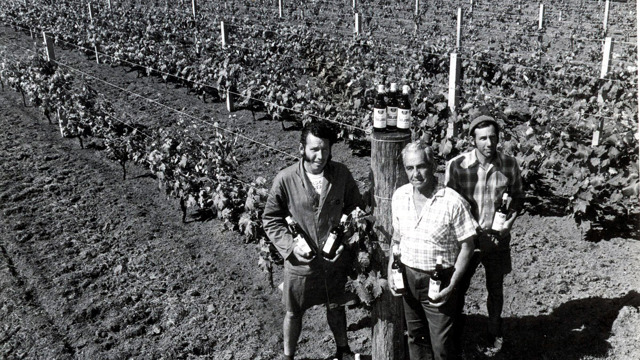 Tony, Rex and Frank Soljian in front of the Soljans vineyard
