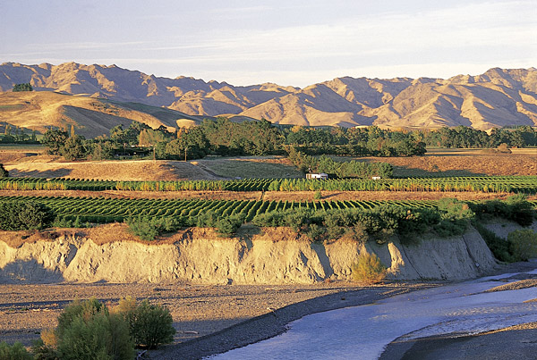 Marlborough single vineyards