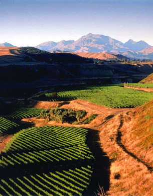 Nautilus Estate with mountains in distance