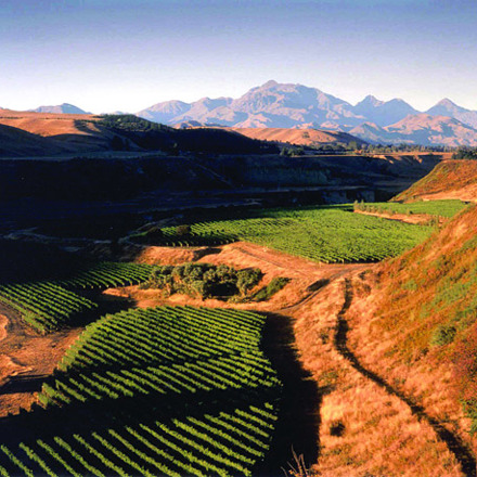 Nautilus Estate with mountains in distance
