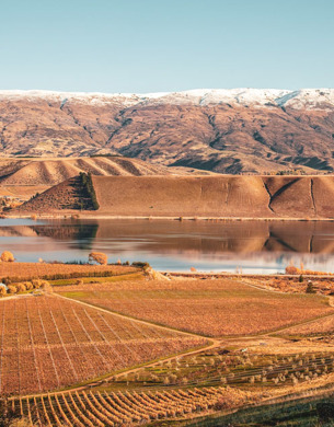 Northburn Vineyard landscape 