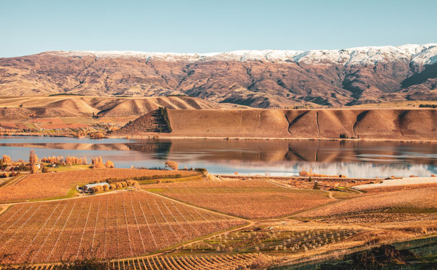 Northburn Vineyard landscape 