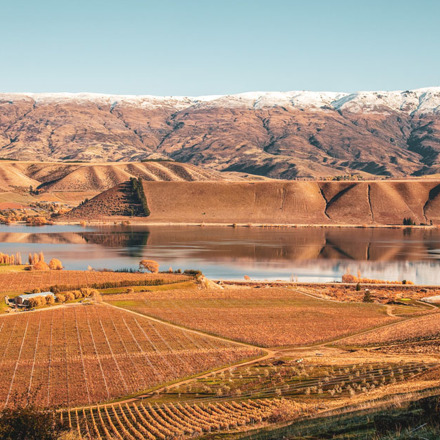 Northburn Vineyard landscape 