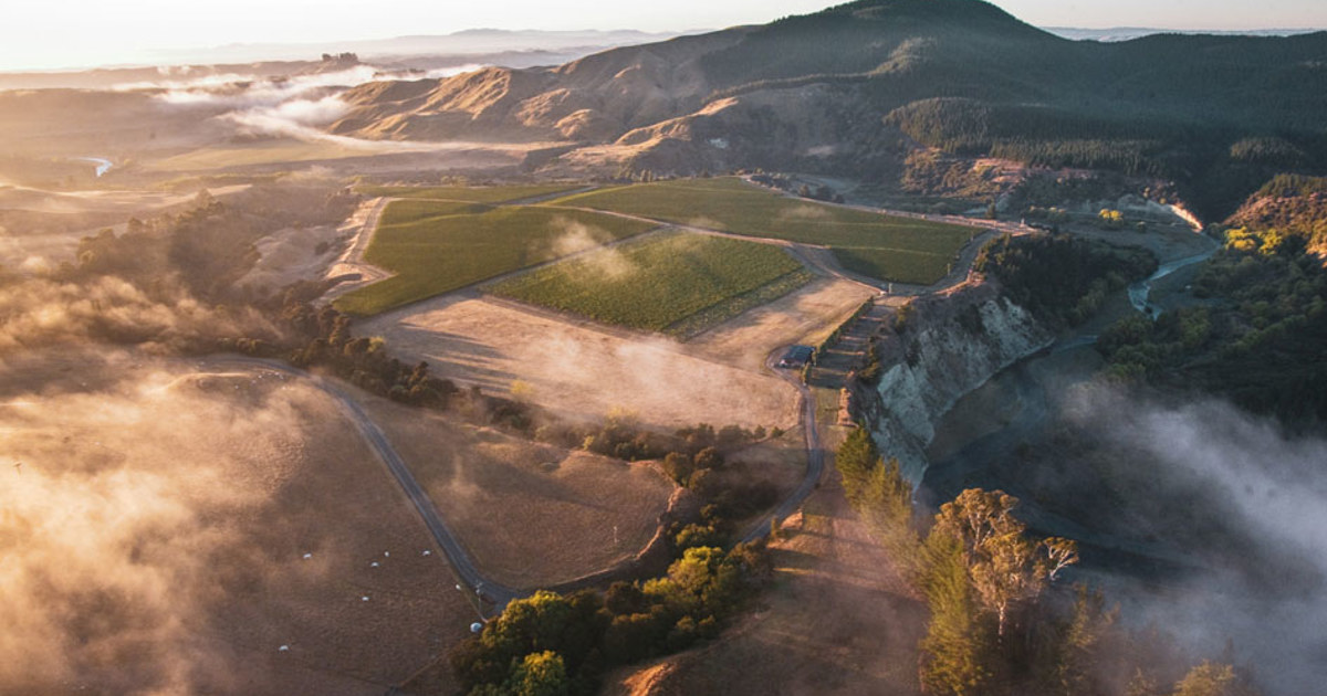 Hawke's Bay Wine Region: New Zealand's Great Wine Capital — image 4