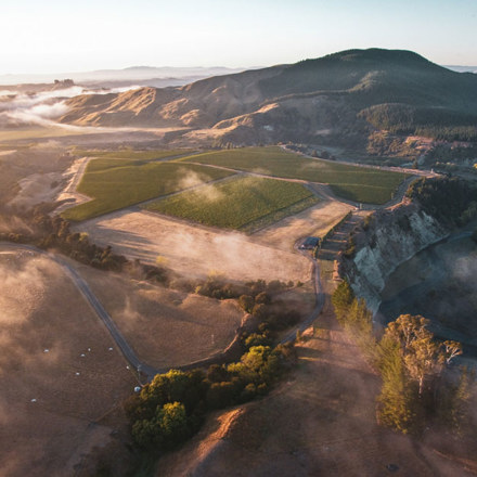 Aerial image of the hawkes bay with some low cloud