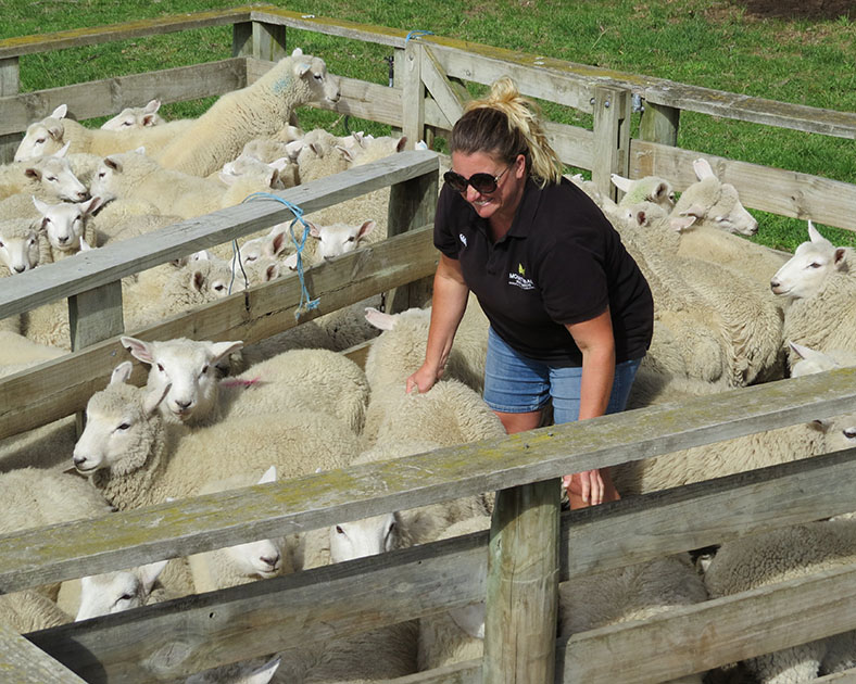 Kirsty Harkness in a sheep pen
