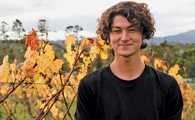 Leon Henson, Young Winemaker