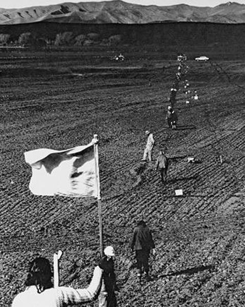 Old photo of planting in Brancott vineyard