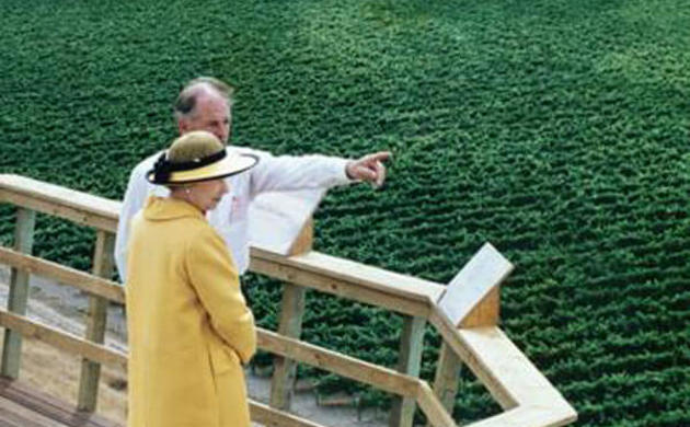 Queen Elizabeth II looking out over Brancott vineyard