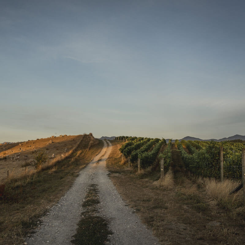 Driveway of Tohu Whenua