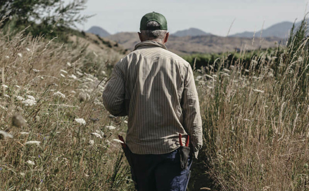 Man walking through Tohu Whenua Awa