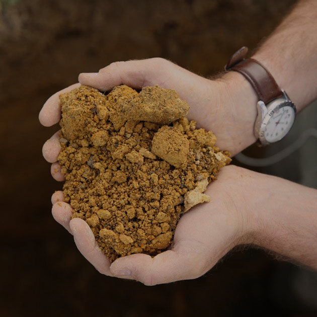 Person holding clay soil