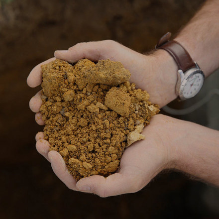 Person holding clay soil