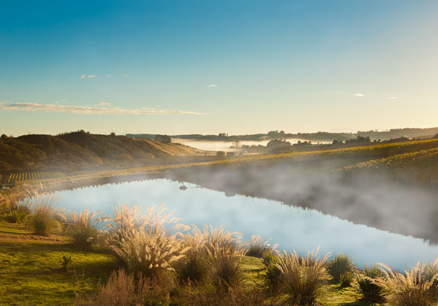 River at Aronui Wines