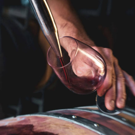 Pinot Noir being poured into a glass.