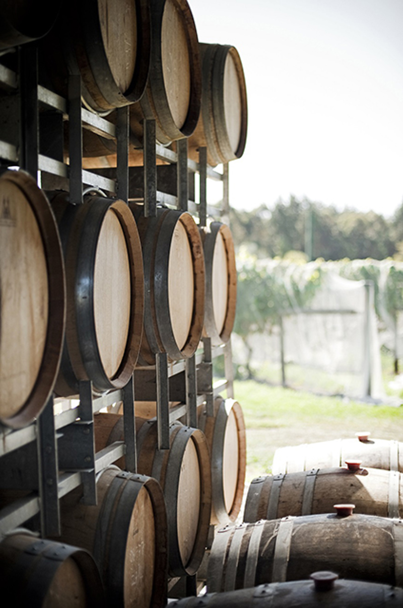 New Zealand Wine New Zealand Wine New Zealand Wine New Zealand Wine