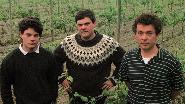 The young giesen brothers at their vineyard