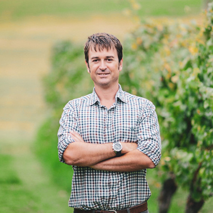 Nick Picone in vineyard