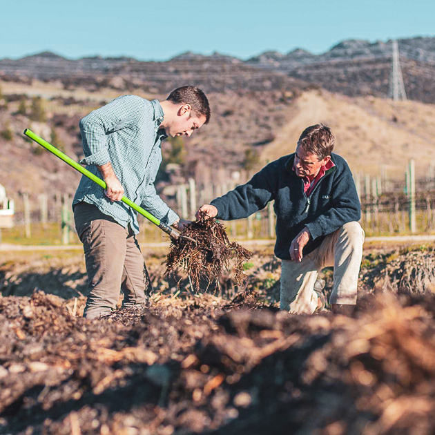 Fraser and Lindsay McLachlan working in a feild