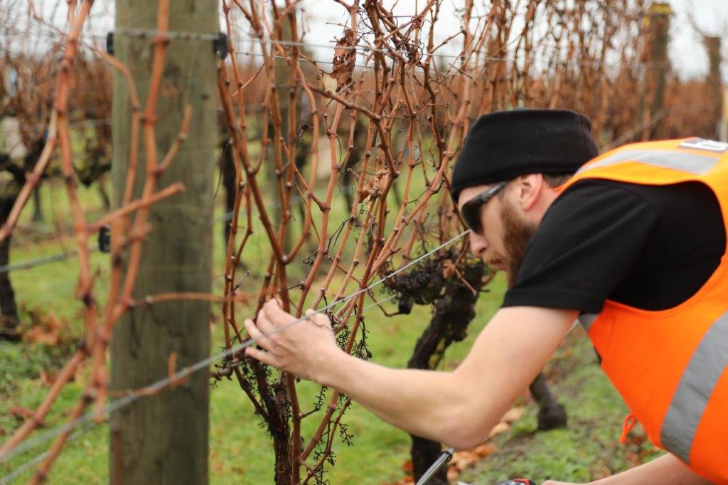 Hawke's Bay competition