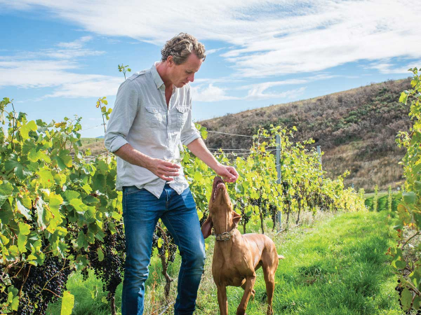 Dave Clouston in vineyard with dog