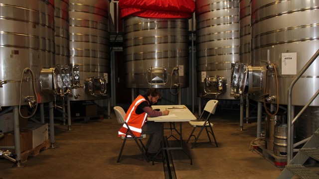 Central Otago - theory exam