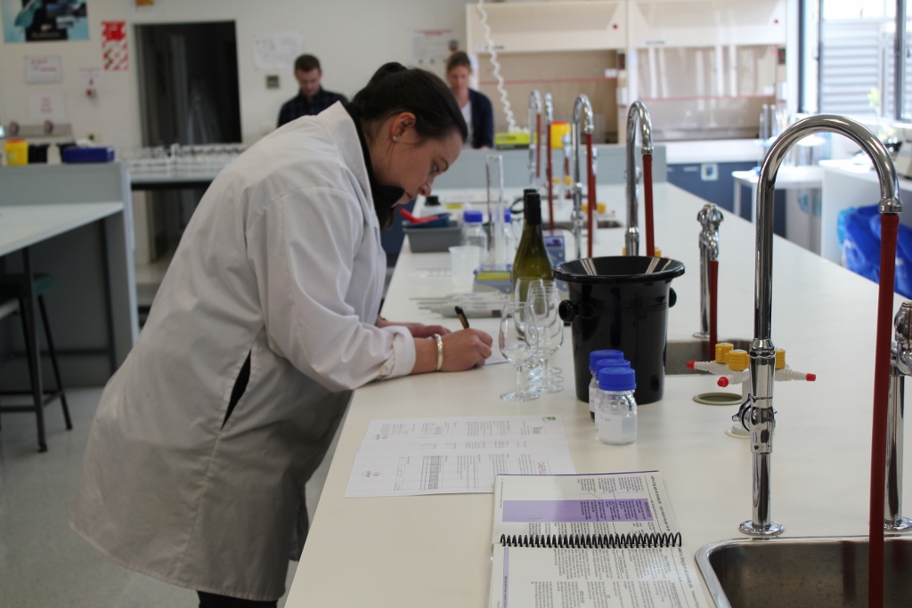 Kate Franklin from Sacred Hill - lab 