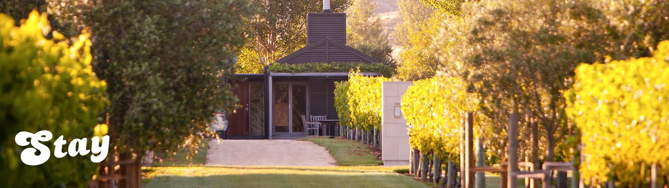Vineyard accommodation