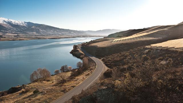 Central Otago vineyards and lake