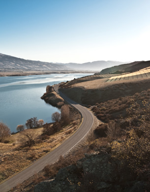 Central Otago vineyards and lake