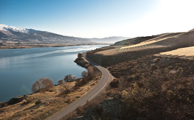 Central Otago vineyards and lake