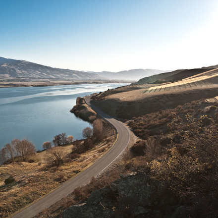 Central Otago vineyards and lake