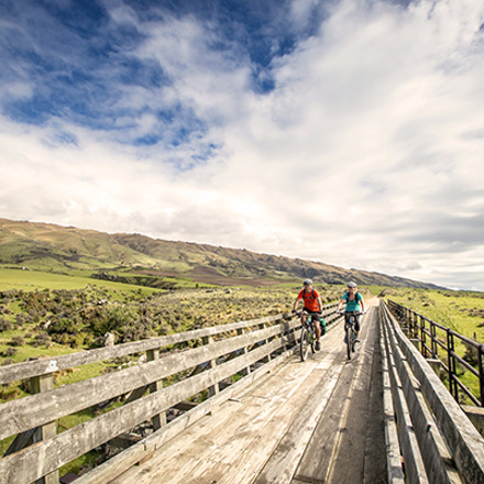 People cycling over bridge