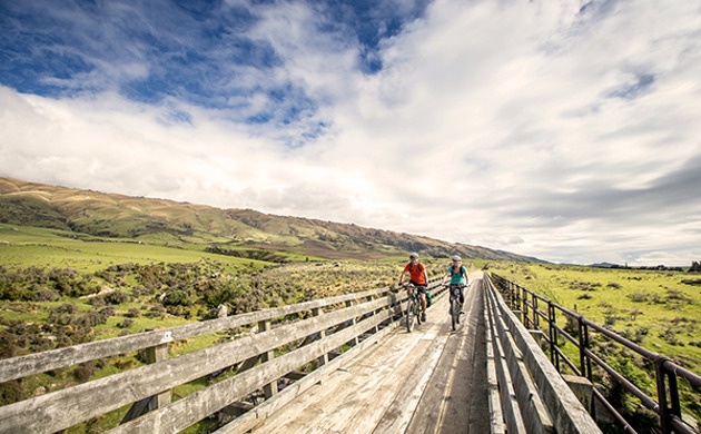 People cycling over bridge