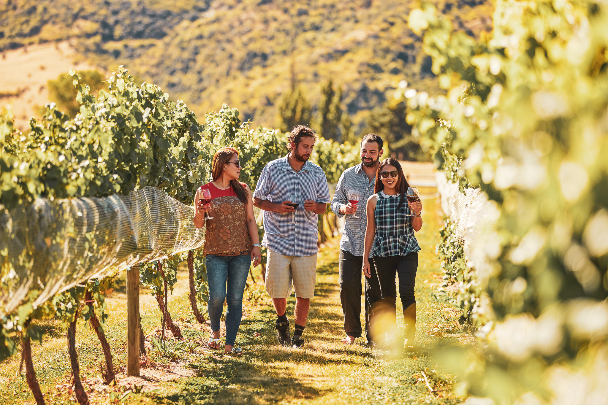 Wine tour in vines