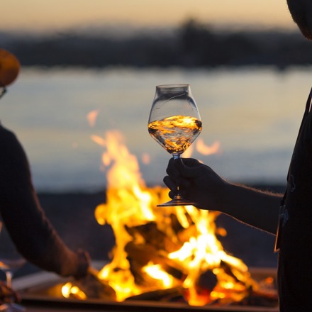 someone holding a wine glass in front of a bonfire