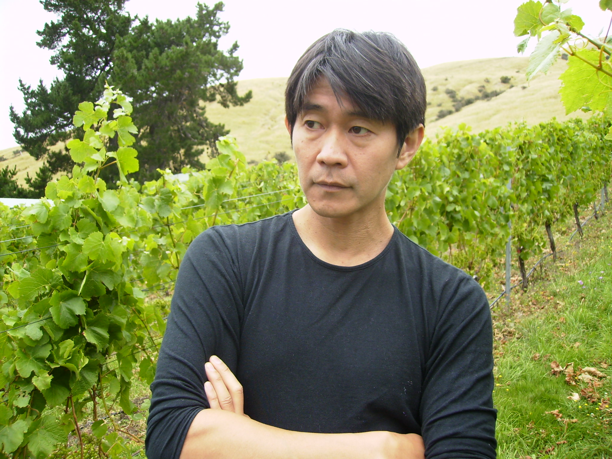 Koyama Wines