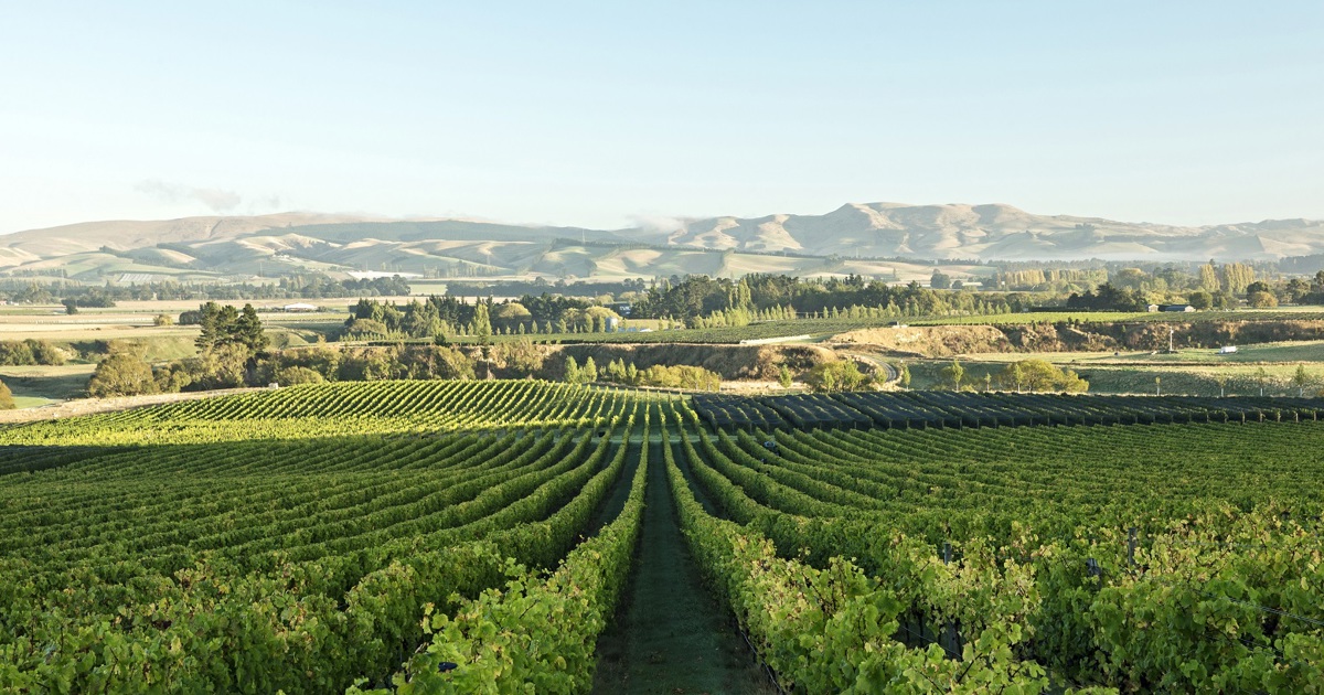New Zealand Wine Regions | New Zealand Wine