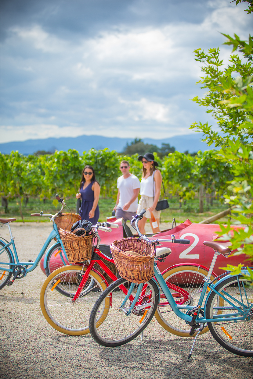 Martinborough bikes
