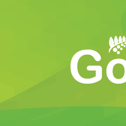 Go You banner and logo