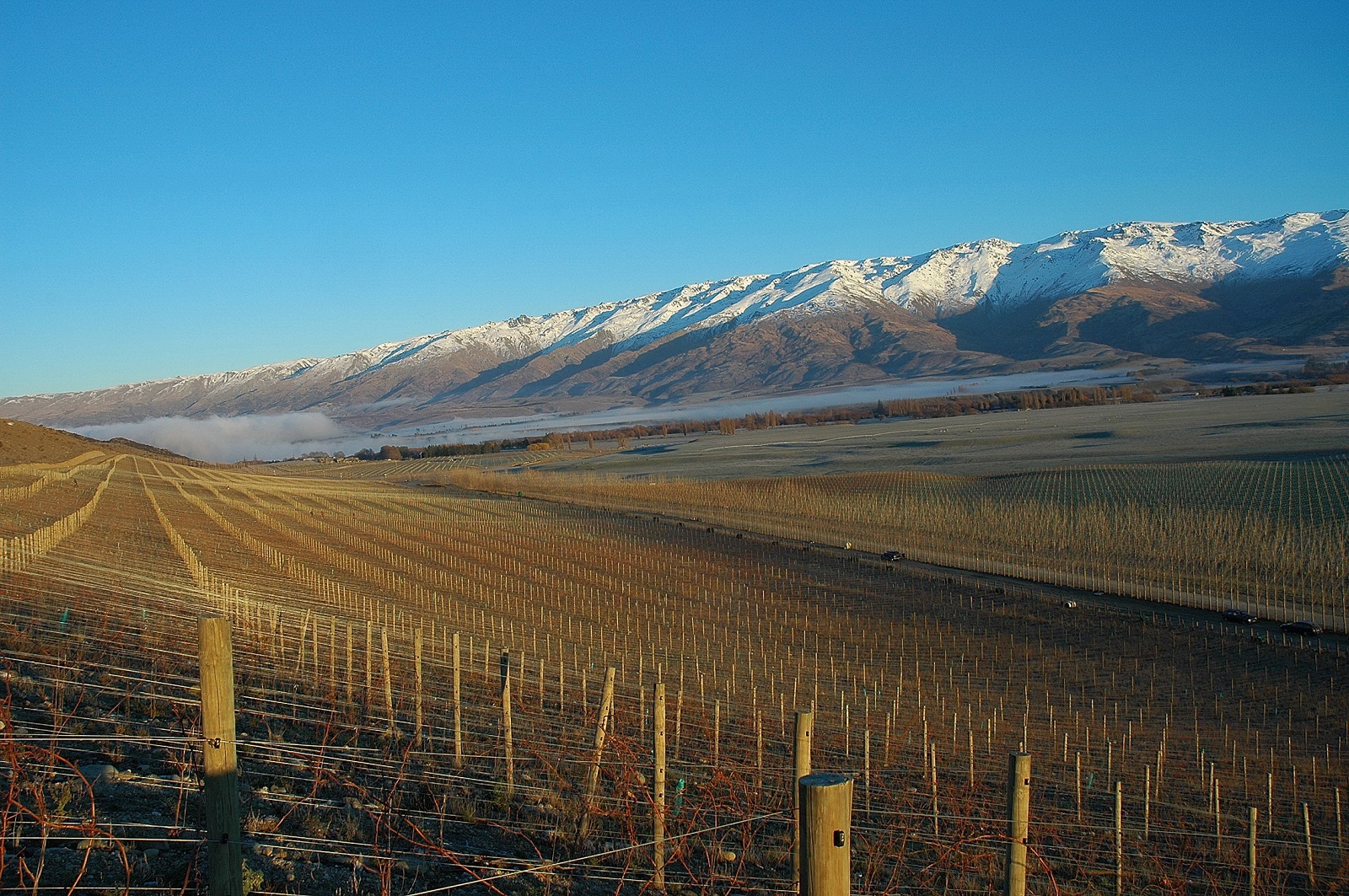 Quartz Reef Vineyards