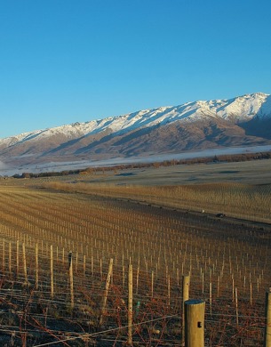 Quartz Reef Vineyards