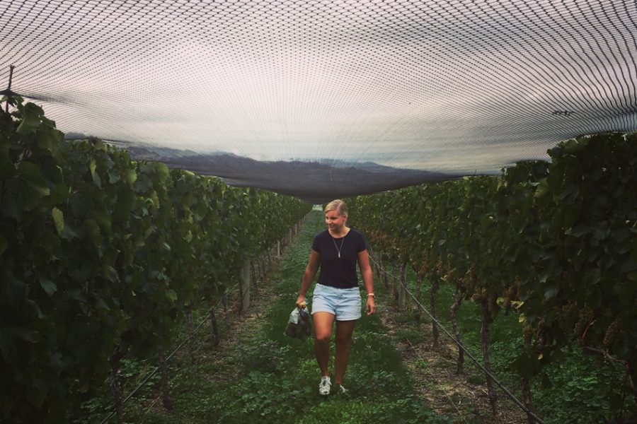 Sarah Adamson, Scout Wines