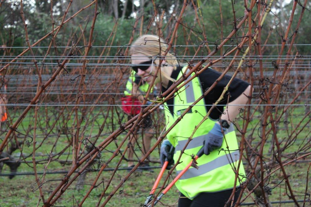 Katie Cameron Young Vit