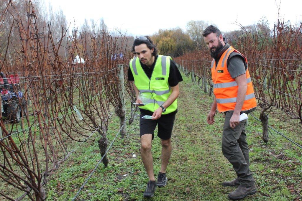 McKenzie Smith Young Vit