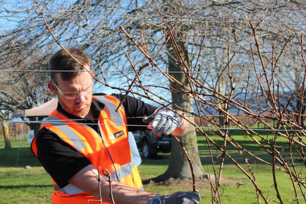 Zac Howell Young Vit Competition
