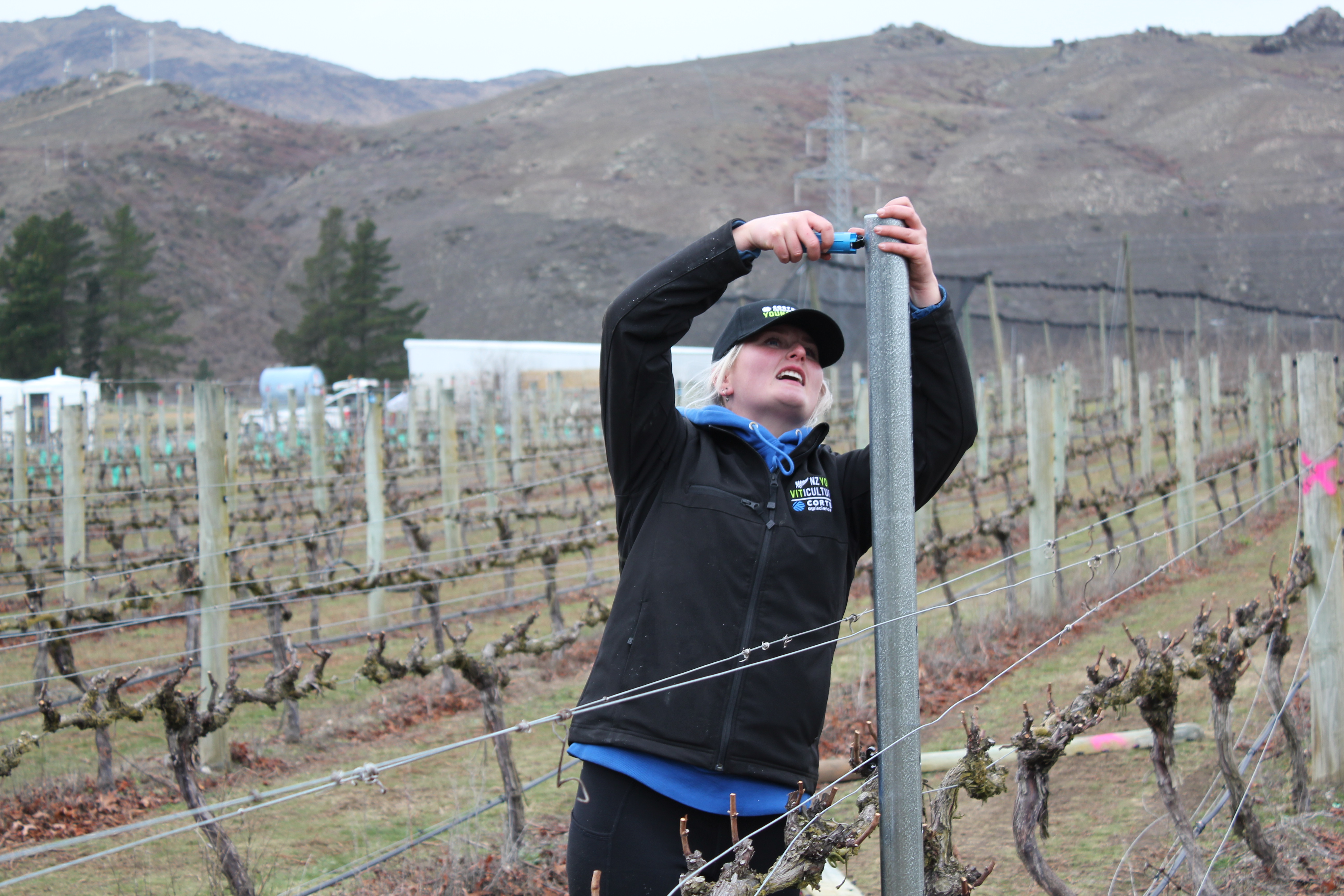 Olivia Williams Young Vit