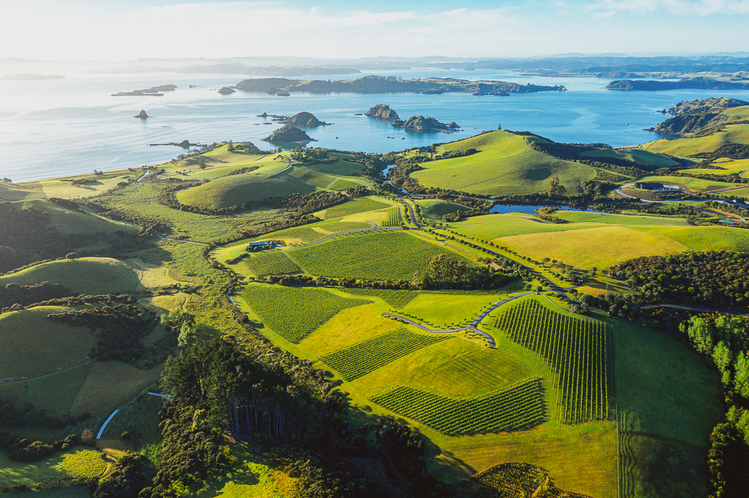 The Landing Wines Aerial View